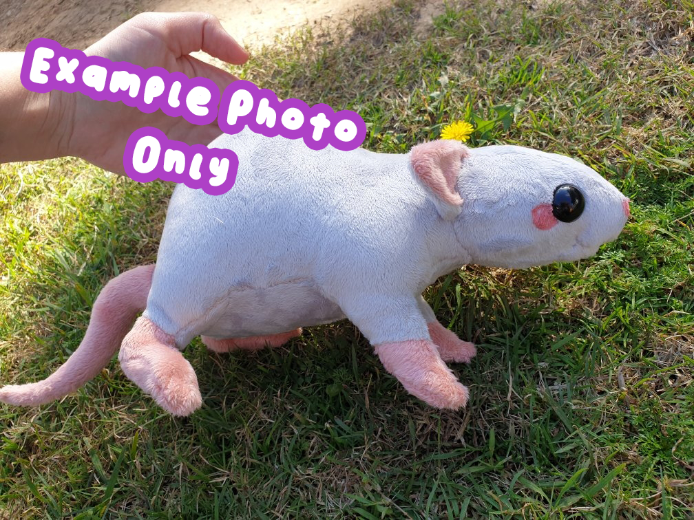 PDF Pattern - Rat