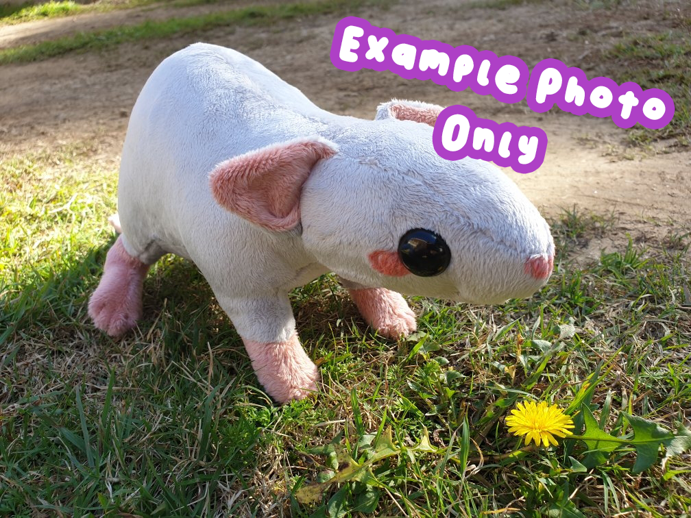 PDF Pattern - Rat