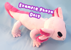 PDF Pattern - Axolotl